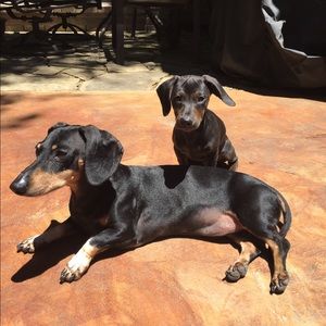 Meet your Posher, Debra